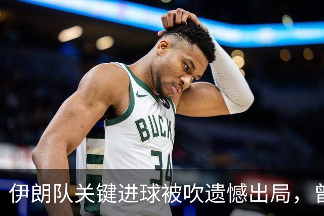伊朗队关键进球被吹遗憾出局，曾任教哈佛大学的伊朗学者向FIFA索赔10亿美元