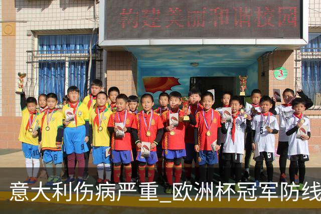 意大利伤病严重 欧洲杯冠军防线或全部无法上场